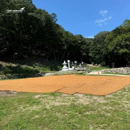 COIR MAT